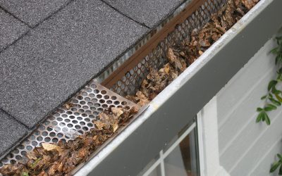 5 Reasons Why You Need Gutter Cleaning Services