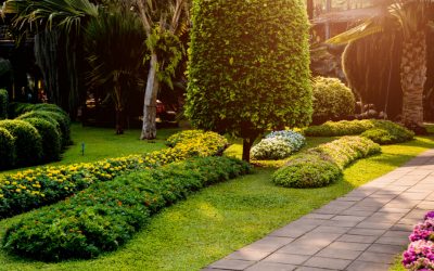 Increase Your Home’s Value With Landscape Upgrades